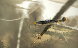 Il2birds29